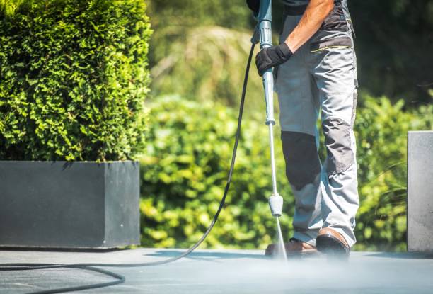 Best Solar Panel Cleaning  in Zephyrhills North, FL