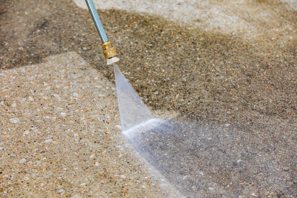 Best Driveway Pressure Washing  in Zephyrhills North, FL