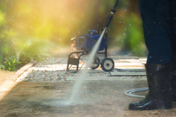 Best Solar Panel Cleaning  in Zephyrhills North, FL